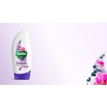 Radox Feel Romantic sprchový gel 250 ml – Sleviste.cz