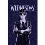 Jerry Fabrics Deka fleecová Wednesday – Hledejceny.cz