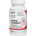 LAB-V Arthro Comfort Komplexní podpora zdraví kloubů a pohybového aparátu pro psy a kočky 45 kapslí – Hledejceny.cz
