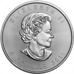 Royal Canadian Mint Canadian Maple Leaf 1 oz – Hledejceny.cz