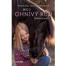 Můj ohnivý kůň – Sněhová bouře - Schreiberová Chantal