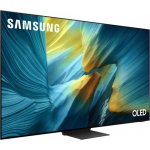 Samsung QE55S95FAT – Zboží Živě