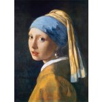 EuroGraphics Vermeer Johannes: The Girl with a Pearl Earring 16 1000 dílků – Hledejceny.cz