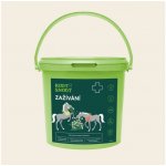 Root&Snoot Zažívání pro koně sypaná směs 1 kg – Hledejceny.cz