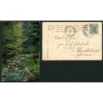 Les – Zboží Dáma