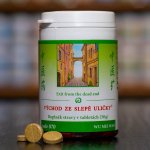 TCM Herbs Východ ze slepé uličky 070 100 tablet – Hledejceny.cz