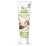 BRIT Care Cat Paste Multivitamin 100 g – Zbozi.Blesk.cz