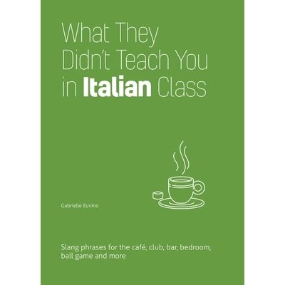 What They Didnt Teach You in Italian Class: Slang Phrases for the Cafe, Club, Bar, Bedroom, Ball Game and More Euvino GabriellePaperback