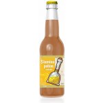 Koldokol Bio Shot zázvor a malina 250 ml – Zbozi.Blesk.cz