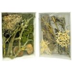 Lucky ReptileDeco Set Desert – Hledejceny.cz