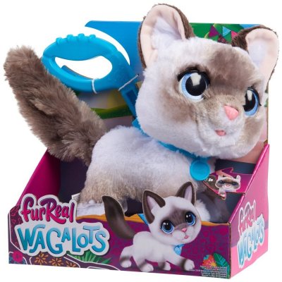 Hasbro FurReal Walk-A-Lots Interaktivní kotě Ragdoll 23 cm – Hledejceny.cz