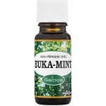 Saloos esenciální olej Euka-mint 10 ml – Hledejceny.cz