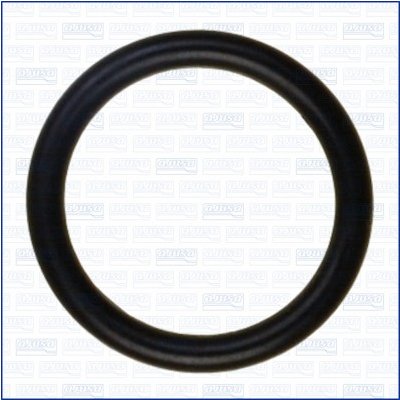 16063100 AJUSA Těsnění, koleno sacího potrubí – Hledejceny.cz