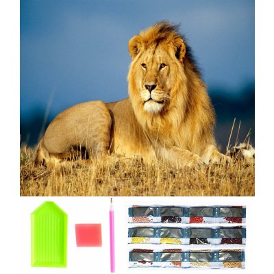 Norimpex Diamantový obrázek malování Lví majestát 30 x 40 cm – Hledejceny.cz