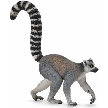 Collecta Lemur kata