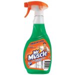 Mr.Muscle 5v1 zelený čistič na okna a sklo rozprašovač 500 ml – HobbyKompas.cz