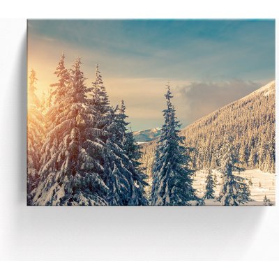 Obraz - Slunečná zimní krajina Velikost obrazu: 70x50 cm