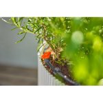 Gardena 13401-20 – Hledejceny.cz