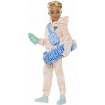 Barbie Dream Besties Ken a doplňky – Hledejceny.cz