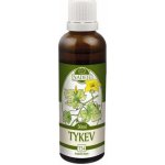 Naděje T54 Tykev obecná tinktura z rostliny 50 ml – Hledejceny.cz