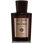 Acqua Di Parma Colonia Leather Concentrée kolínská voda pánská 100 ml – Hledejceny.cz