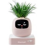 Plantsio Ivy 2 gen. růžový – Sleviste.cz
