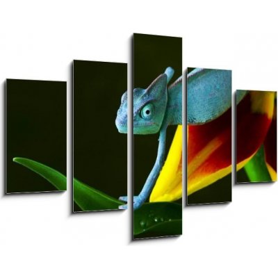Obraz pětidílný 5D - 150 x 100 cm - cham leon chameleon lizard cizokrajná věc – Zboží Mobilmania