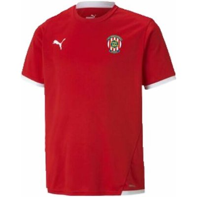 Puma TEAM LIGA JERSEY TEE JR ZBROJOVKA BRNO Juniorské fotbalové triko červená – Zbozi.Blesk.cz
