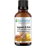 Bioherba Zázvor & anýz kapky tinktura 50 ml – Hledejceny.cz