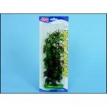 Hagen rostlina Red Ludwigia 30 cm – Hledejceny.cz