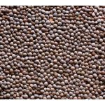 Country Life Čočka červená celá neloupaná 0,5 kg – Zboží Dáma