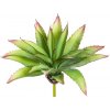 Květina Aloe zelená v27 cm (FB109933800)