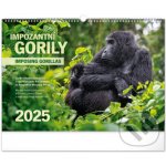 Nástěnný Notique Impozantní gorily 48 x 33 cm 2025 – Hledejceny.cz