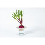 Plastia Miska na Avokádo Cibuli slonová kost 16cm – Hledejceny.cz