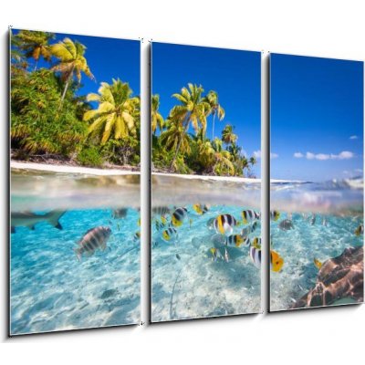 Obraz 3D třídílný - 105 x 70 cm - Tropical island Tropický ostrov – Hledejceny.cz