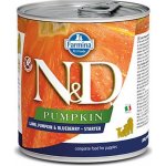 N&D Pumpkin Dog Starter Lamb Pumpkin Blueberry 285 g – Sleviste.cz