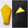 Kravata Žlutý kapesníček do saka Assante 90641