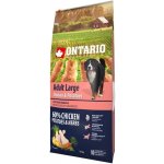 Ontario Adult Large Chicken & Potatoes 12 kg – Hledejceny.cz