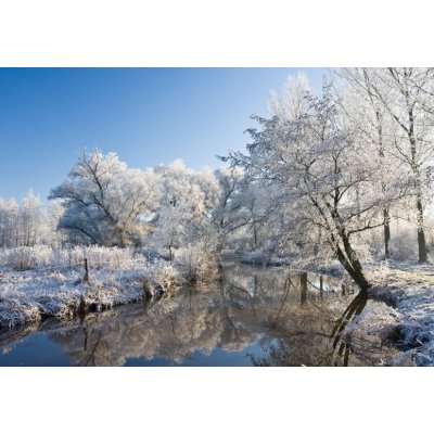 WEBLUX 10232237 Fototapeta vliesová frost and a blue sky mráz a modrou oblohu rozměry 145 x 100 cm – Zboží Mobilmania