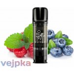 Elf Bar ELFA cartridge 2 Pack Blueberry Sour Raspberry 20 mg – Hledejceny.cz