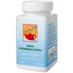 TCM Herbs Nápoj stříbrného větru 844 100 tablet – Hledejceny.cz