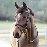 Horze uzdečka kožená Weston Černá – Zboží Dáma