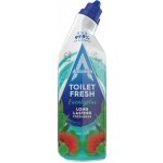 Astonish Gel na čištění toalety Eucalyptus 750 ml – Sleviste.cz