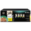 Sheba drůbeží výběr v želé pro dospělé kočky 48 x 85 g