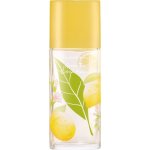 Elizabeth Arden Green Tea Honeysuckle toaletní voda dámská 100 ml – Hledejceny.cz