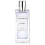 Angel Schlesser Luminous Violet toaletní voda dámská 150 ml – Hledejceny.cz