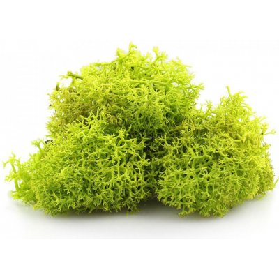 Secret Live Moss Light Green 5 g – Sleviste.cz