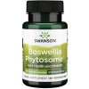 Doplněk stravy Swanson Boswellia Phytosome 60 ks vegetariánská kapsle 300 mg