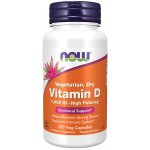 NOW Foods Vitamín D 1000 IU 120 kapslí – Hledejceny.cz