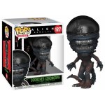 Funko Pop! 1617 Alien Romulus Scorched Xenomorph – Zboží Mobilmania